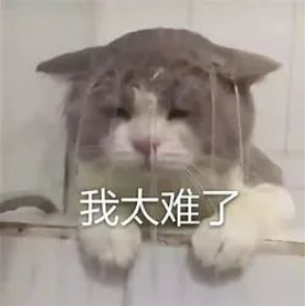 643aad7e64a8f.png