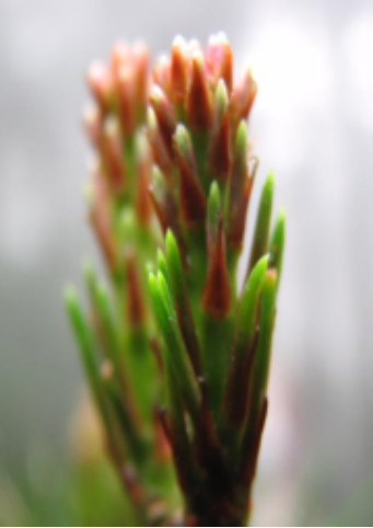 650d461b51745.png