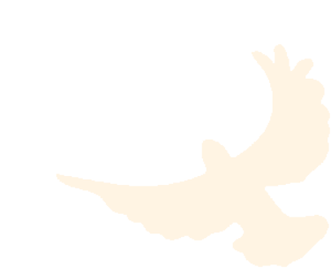 65183580ac612.png