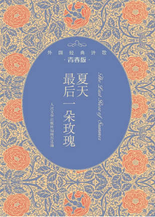 65e1a023a0667.png