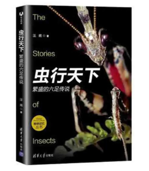65f539c53f49a.png
