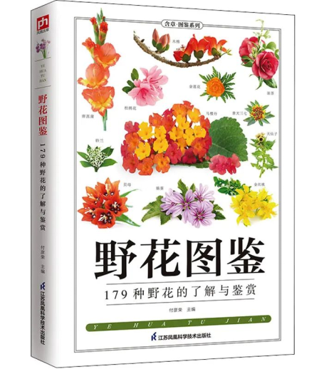 65f539f2cdd09.png